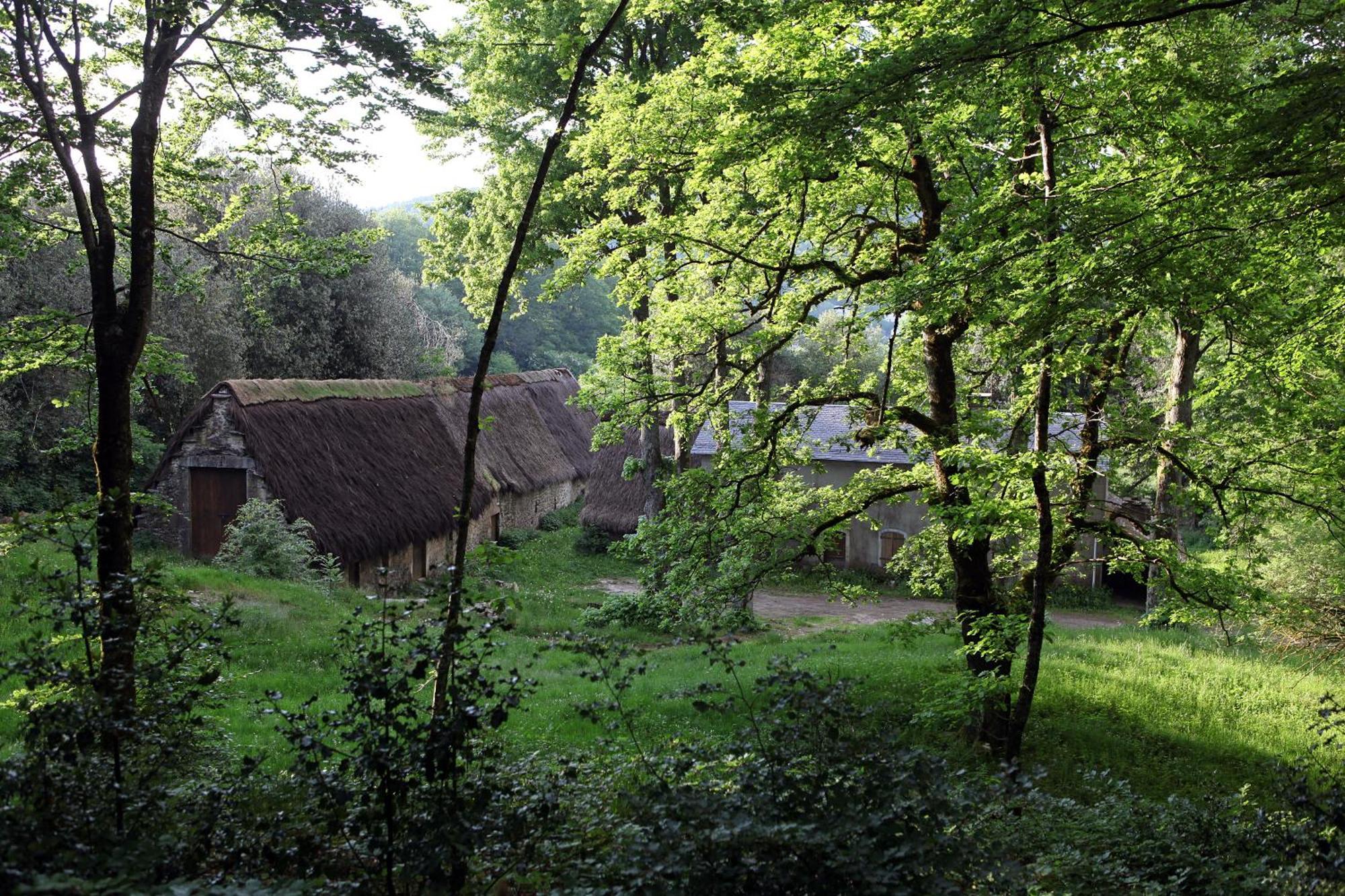 Logis Hotel Restaurant Auberge De L'Espinouse Fraisse-sur-Agout エクステリア 写真
